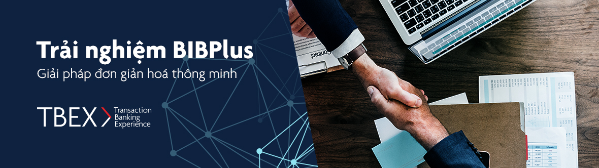 experience-bibplus